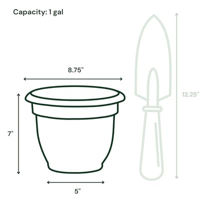 Bloem Ariana 8" Plastic Self-Watering Planter, Basil, 4-Pack - color: Basil, size: 8" (Pack of 4)