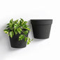 Asnext 2 Pack Indoor Wall Planter, 7.5 Inch Wall Hanging Planter, Black - color: Black