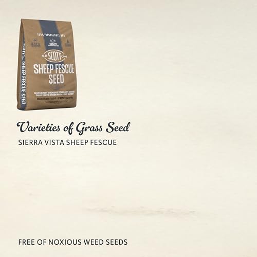 O.M. Scott & Sons Sheep Fescue Seed, 0.9 lb. - color: Sheep Fescue, size: 1 Pack