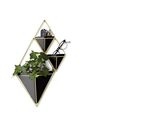 Umbra Trigg Hanging Planter for Small Plants, Set of 2, Small, Black/Brass - color: Black/Brass, size: Small
