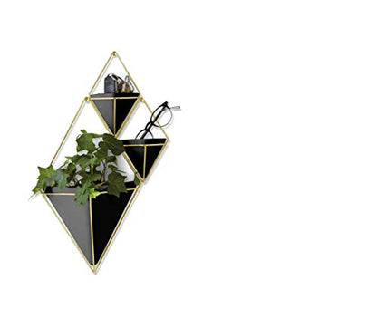 Umbra Trigg Hanging Planter for Small Plants, Set of 2, Small, Black/Brass - color: Black/Brass, size: Small