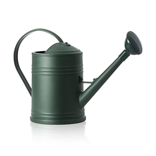 Plastic Indoor Watering Can with Sprinkler Head - 68 oz, 1/2 Gallon - color: Dark Green