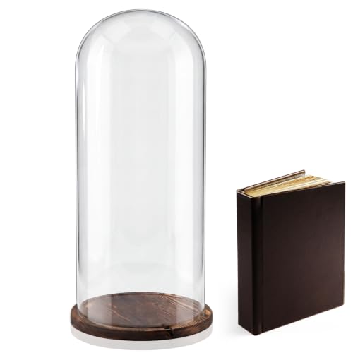 22'' × 8.66'' Glass Dome Cloche Display with Wood Base, Clear Display Jar - size: 8.66''×22''