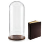22'' × 8.66'' Glass Dome Cloche Display with Wood Base, Clear Display Jar - size: 8.66''×22''
