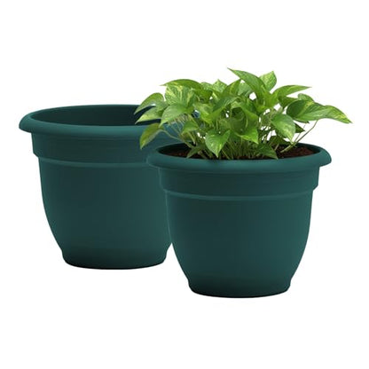 Bloem Ariana 20" Plastic Self-Watering Planter, Charleston Green, 2-Pack - color: Charleston, size: 20" (Pack of 2)