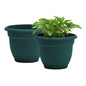 Bloem Ariana 20" Plastic Self-Watering Planter, Charleston Green, 2-Pack - color: Charleston, size: 20" (Pack of 2)
