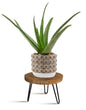 OBTAIN Plant Stand Indoor Outdoor, Wooden plant Stool, Mid Century Plant Stand for Indoor Plants, Wood Modern Plant Holder Rattan Flower, Low Short Boho Rustic Planter Stand Fit 5-15 Inch Pot(M) - size: Medium