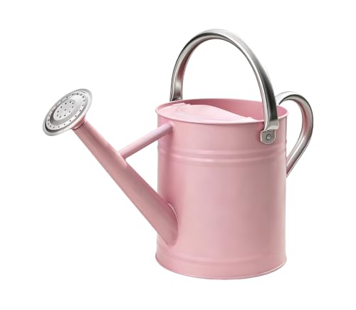 Metal Watering Can for Outdoor Plants, Watering Can Decor 1 Gallon (Pink) - color: Pink1