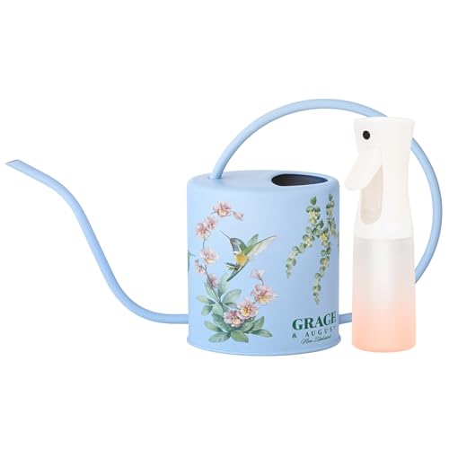 Indoor Watering Can & Mist Spray Bottle Set for Indoor Plants - Decorative - color: Hummingbird Blue