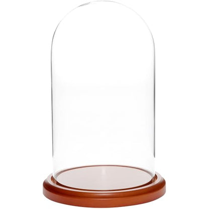 Plymor 5.5" x 10" Glass Display Dome Cloche (Walnut MDF Base) - color: Walnut MDF base