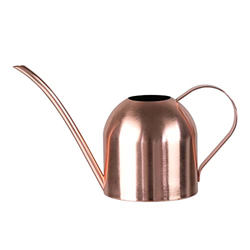 Watering Can for Indoor Plants, 30oz Long Spout Stainless Steel - size: Rose Gold 30 oz