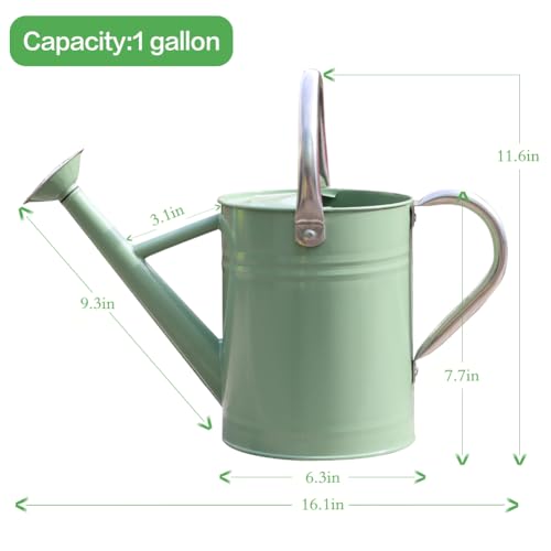 Metal Watering Can 1 Gallon for Outdoor Garden Plants, CGreen - color: Cream Green
