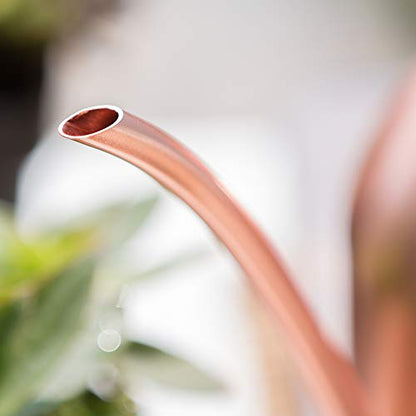 Rose Gold Watering Can for Indoor Plants, 450ml/15oz - size: Rose Gold 15 oz