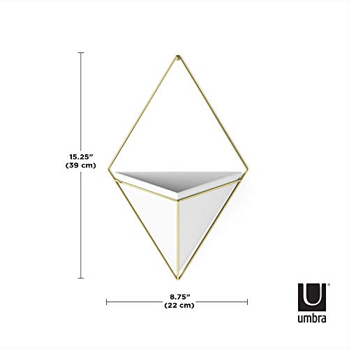 Umbra Trigg Hanging Planter for Small Plants, Large, White/Brass - color: White/Brass, size: Large