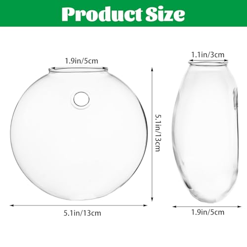 8PCS Wall Mounted Vase, Glass Wall Vase Propagation Wallmount Hanging Planters for Hydroponics with Traceless Nails for Home Office Living Room