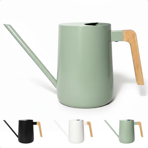 Metal Small Indoor Watering Can with Long Spout & Real Wood Handle, 35oz - color: Sage Green