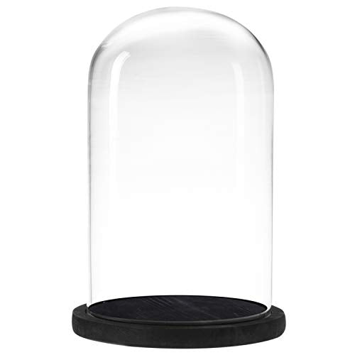 MyGift Bell Jar Glass Cloche Black Wood Base 10 Inch Display Dome - color: Black