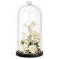 Suclain 1 Pcs Glass Cloche Dome with Wood Base Diamond Handle,Black - color: Black