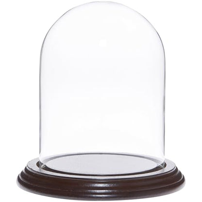 Plymor 4" x 5.25" Glass Display Dome Cloche (Dark Mahogany Veneer Base) - color: Dark Mahogany Veneer Base