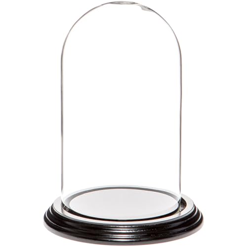 Plymor 4" x 7" Small Glass Display Dome Cloche (Black Wood Veneer Base) - color: Black Wood Veneer Base