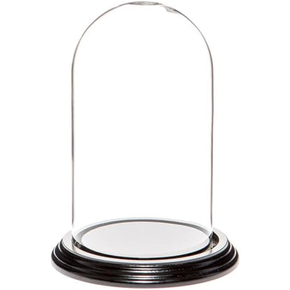 Plymor 4" x 7" Small Glass Display Dome Cloche (Black Wood Veneer Base) - color: Black Wood Veneer Base