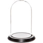 Plymor 4" x 7" Small Glass Display Dome Cloche (Black Wood Veneer Base) - color: Black Wood Veneer Base
