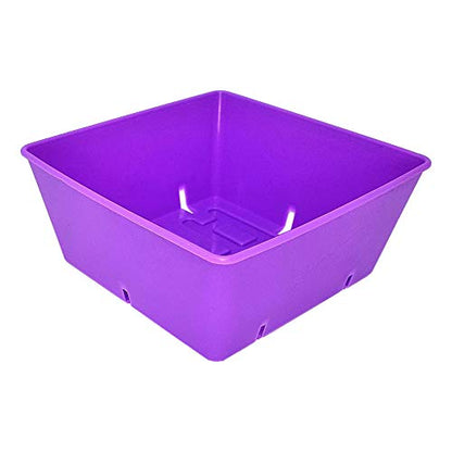 Bootstrap Farmer 5x5 Trays 40 Pack in Purple, Extra Thick Heavy Duty Inserts for Microgreens, Wheatgrass, and Seed Starting - color: Purple, size: 40 Pack