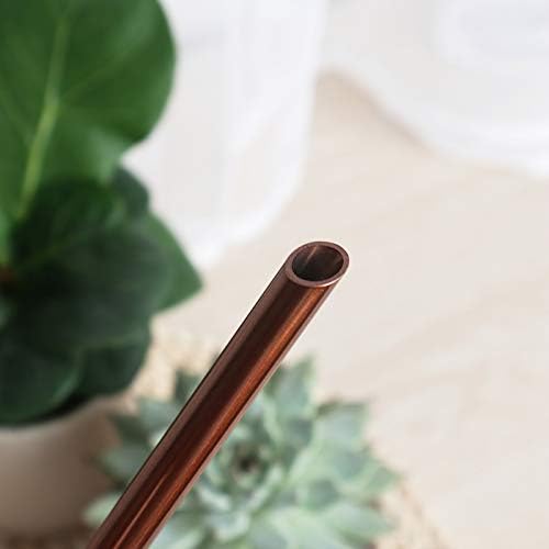 Mini Watering Can, 10oz/300ml Stainless Steel Long Spout Small Watering Can for Indoor Plants Succulents, Herbs (Bronze) - color: Copper