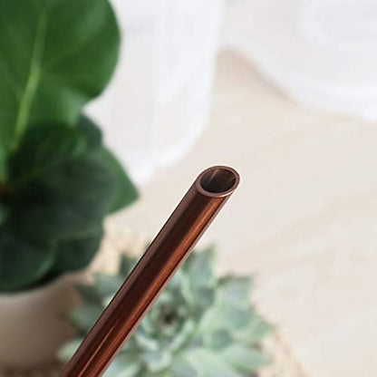Mini Watering Can, 10oz/300ml Stainless Steel Long Spout Small Watering Can for Indoor Plants Succulents, Herbs (Bronze) - color: Copper