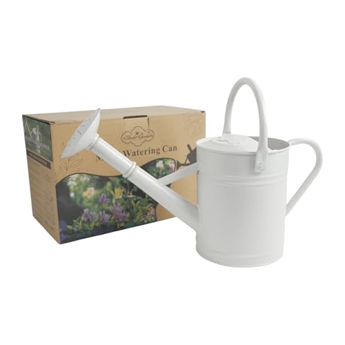 1 Gallon White Metal Watering Can with Removable Watering Rose