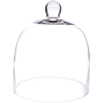 Plymor 7.875 inch x 9.5 inch Bell Jar Glass Display Dome Cloche (Interior Size 7.5" x 7.5") - size: 7.875" x 9.5"