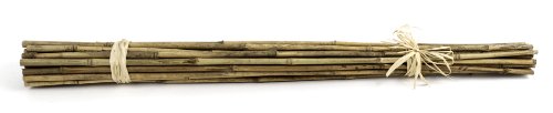 SuperMoss (12383) Bamboo Sticks, Natural, 24" (25 pack) - color: Natural, size: 24" (25 pack)
