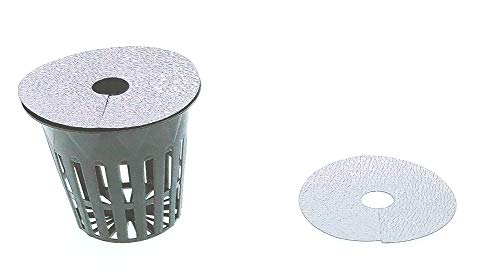HORTIPOTS 2 Inch Net Pot, Wide Rim Design (Set of 75)