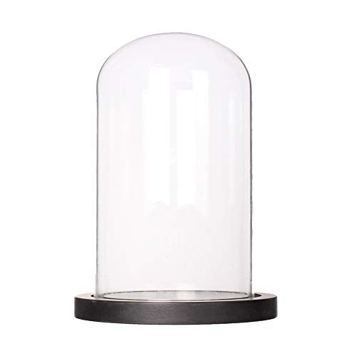Somush Glass Cloche Bell Jar Display Dome with Black Wooden Base Dia 6" x H 10"