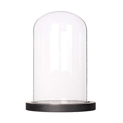 Somush Glass Cloche Bell Jar Display Dome with Black Wooden Base Dia 6" x H 10"