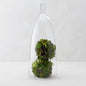 Z Gallerie Jules Cloche Hand-Blown Glass Display Dome, Clear,Large - size: 8" DIAMETER 21" TALL