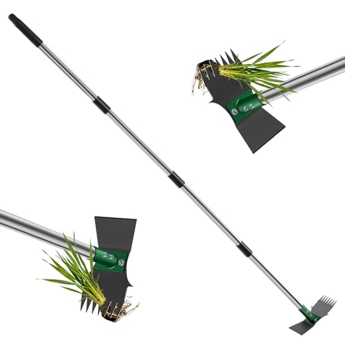 60 Inch Long Handle Dual Head Garden Hoe for Weeding & Soil Loosening
