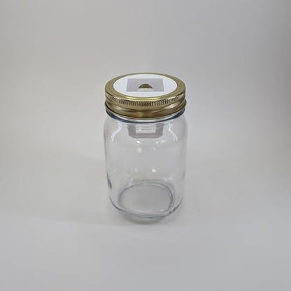 Grow Cubes for Hydroponic System/Compatible with Gardyn (10 Grow Cubes + 10 Regular Mouth MJ Adapters) - style: 10 Grow Cubes + 10 Regular mouth MJ Adapters