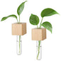 Magnetic Test Tube Flower Vases for Refrigerator, Set of 2 - color: 2 Pcs Wood