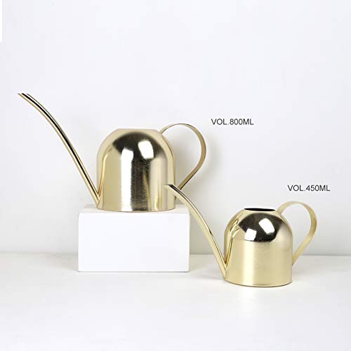 Stainless Steel Water Can for Indoor Plants and Garden (Gold 30 oz) - size: Gold 30 oz