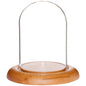 Plymor 3" x 4" Glass Display Dome Cloche (Oak Wood Base) - color: Oak Base