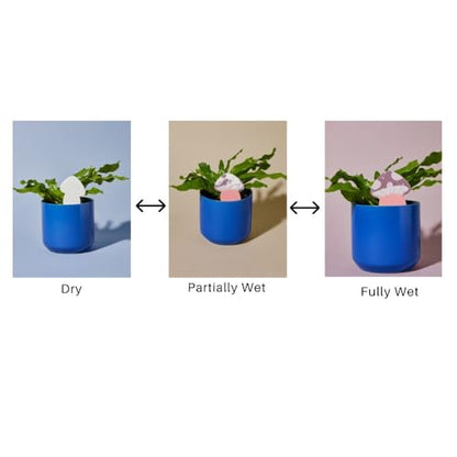 Paper-Based Soil Moisture Meter for Houseplants – Know When to Water, Prevent Overwatering – 5 Pack (PlantDoc Kitty) - style: Kitty PlantDoc - 5 Pack