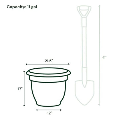 Bloem Ariana 20" Plastic Self-Watering Planter, Basil, 2-Pack - color: Basil, size: 20" (Pack of 2)