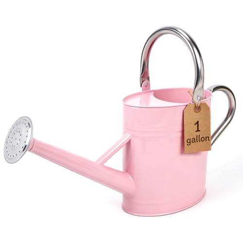 1 Gallon Watering Can for Outdoor&Indoor Plants，Pink - color: Pink