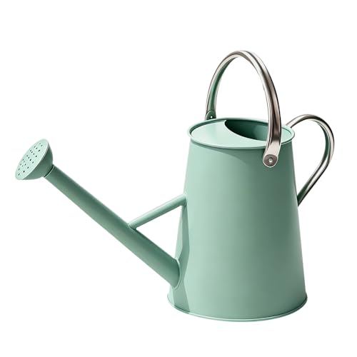 1.5 Gallon Metal Watering Can for Outdoor Plants, Watering Can, Cream Green - color: Cream Green