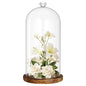 Suclain 1 Pcs 6 x 10 Inch Cloche Glass Dome with Base Bell Jar, Dark Brown - color: Dark Brown