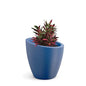 Mayne Modesto 20in Round Modern Planter, Neptune Blue - color: Neptune Blue, size: 20 Inch