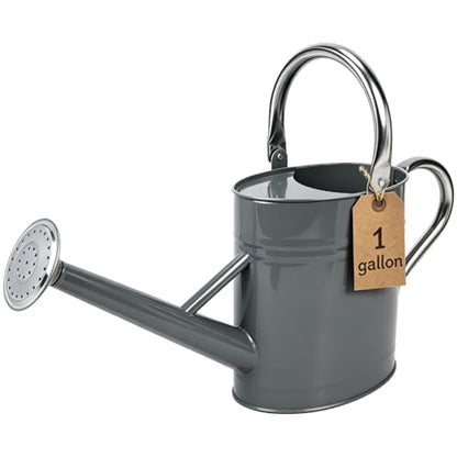 1 Gallon Watering Can for Outdoor&Indoor Plants，Gray - color: Gray