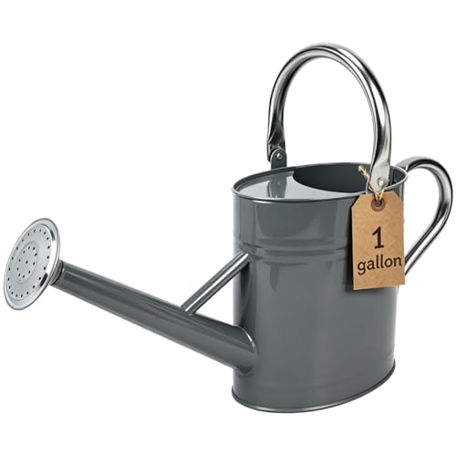 1 Gallon Watering Can for Outdoor&Indoor Plants，Gray - color: Gray