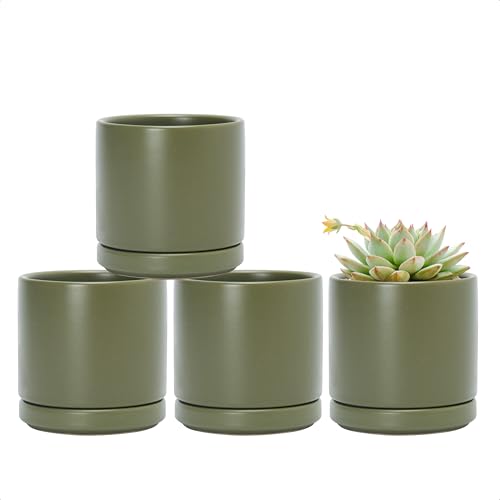 D'vine Dev 4-Pack Ceramic Pots with Saucers, Olive, 3.5 in, 94-X-A-0 - color: Olive, size: 3.5 Inch
